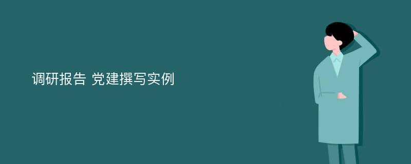 调研报告 党建撰写实例