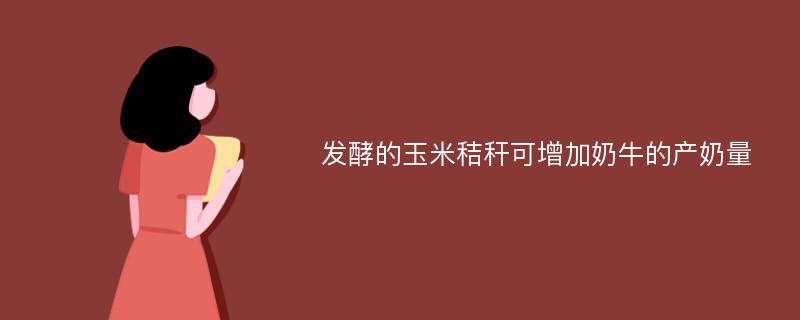 发酵的玉米秸秆可增加奶牛的产奶量