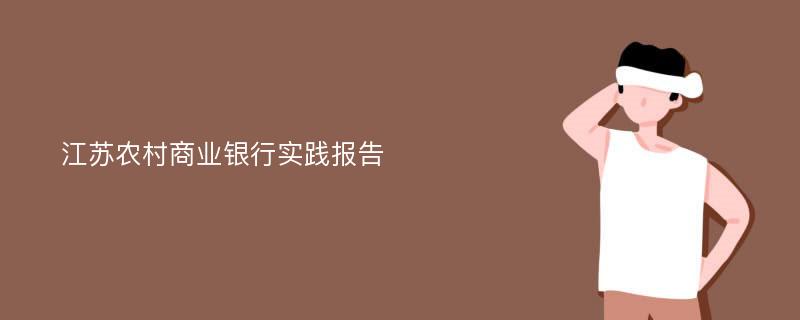 江苏农村商业银行实践报告